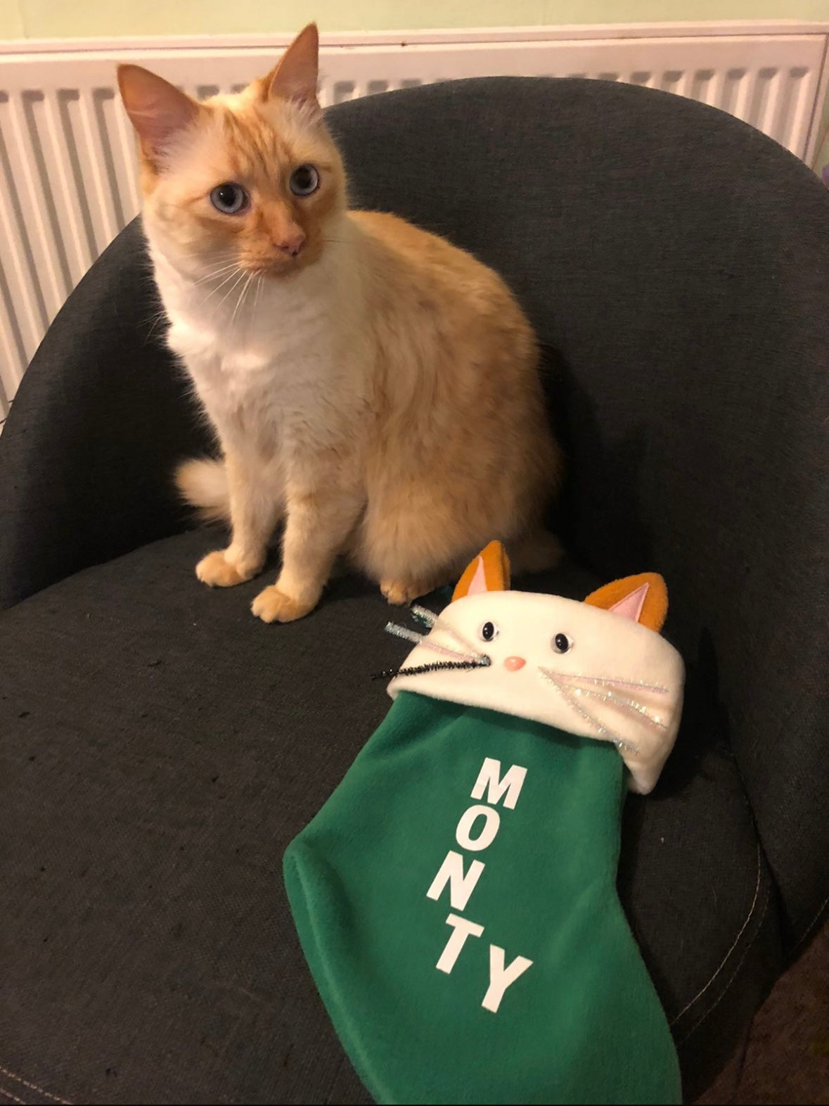 Green Personalised Cat Christmas Stocking